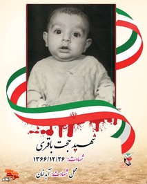 شهید حجت باقری فرزند نبی و فروزان به سال 1366 و در اوج جنگ تحمیلی رژیم بعث عراق علیه ملت مسلمان و انقلابی ایران در شهر آبدانان دیده به جهان گشود. وی که در استانی هم مرز با کشور عراق متولد شده بود از شعله های آتش این جنگ مصون نماند و در حالی که کمتر از یک سال داشت به تاریخ بیست و ششم اسفند ماه سال 1366 بر اثر بمباران هوایی شهر آبدانان در کنار پدر و مادرش به شهادت رسید. مزار این شهید در آبدانان قرار دارد.