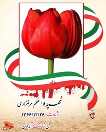 شهیده اعظم مرغزاری در سپیده دم بیستم شهریور 57 در خانواده ای مذهبی در دهلران چشم به جهان گشود. هنوز با دنیای اطراف خود آشنا نشده بود که در همان دوران کودکی طعم تلخ آوارگی، مهاجرت که ره آورد هجوم تجاوزگرانه صدامیان بعثی به خاک پاک میهن اسلامی بود چشیده و با سختی ها و مشکلات و تنگناهای زندگی مأنوس شد.
در سال 63 با هدف علم آموزی در آبدانان به مدرسه ابتدایی وارد شد و در پایه اول ابتدایی ثبت نام نمود. تحصیلاتش را تا پایه چهارم ابتدایی ادامه داد.تا اینکه در حین مهاجرت در صبحگاه بیست و ششم اسفند 66 و در آستانه سال نو بر اثر بمباران ناجوانمردانه دشمن بعثی در آبدانان به طرز مظلومانه به شهادت رسید