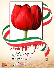 شهید مهدی میرزایی فرزند عینعلی و نازطلا در هجدهمین روز از فروردین ماه سال 1366 در شهر آبدانان دیده به جهان گشود وی که در زمان جنگ تحمیلی رزیم بعث عراق علیه مبت مظلوم و مقاوم ایران به دنیا آمد ه بود از شعله های آتش این جنگ مصون نماند و به تاریخ بیست و ششم اسفند ماه سال 1366 در حالیکه کمتراز یک سال داشت بر اثر بمباران هوایی مظلومانه و علی اصغر وار به شهادت رسید مزار این شهید در گلزار شهدای آبدانان قرار دارد.