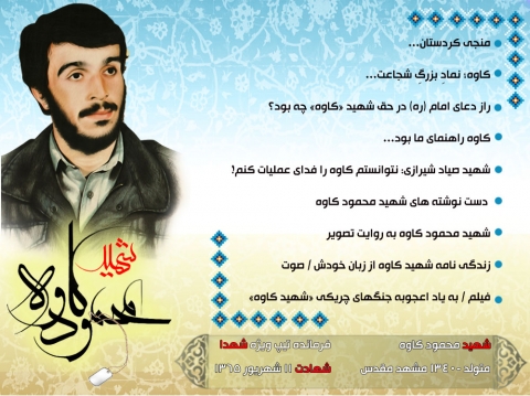 شهید محمود کاوه