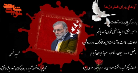 آواهایی برای فخر دل‌ها
