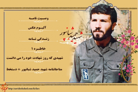شهيد 
