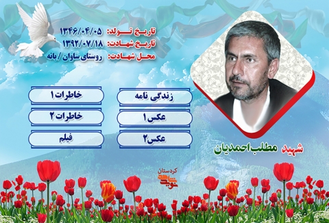 ویژه نامه سردار شهید «مطلب احمدیان»