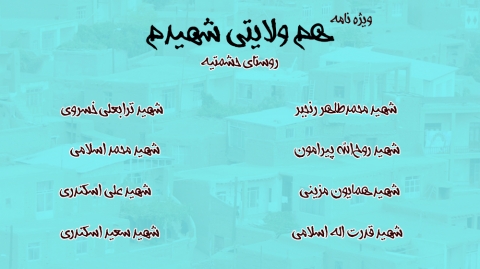 هم ولایتی